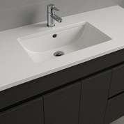 EV Series Wall Hung Vanity with Ceramic Top