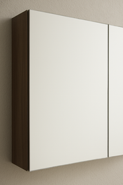 EVSC – Mirror Cabinet with Doors