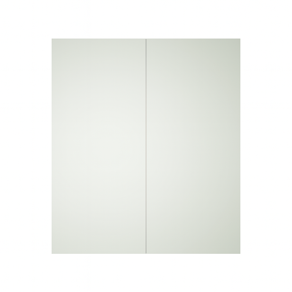 EVSC – Mirror Cabinet with Doors