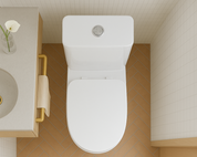 Mercury BTW Toilet Suite 665x375x810mm