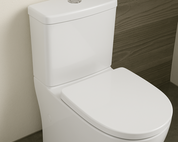 Elvera – Ambulant Rimless Toilet Suite (KDK027R)